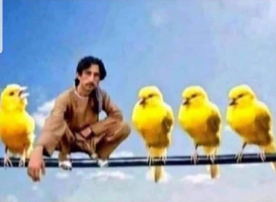 افغان هیومر.jpg