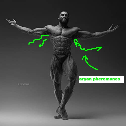 aryan pheremones.jpg