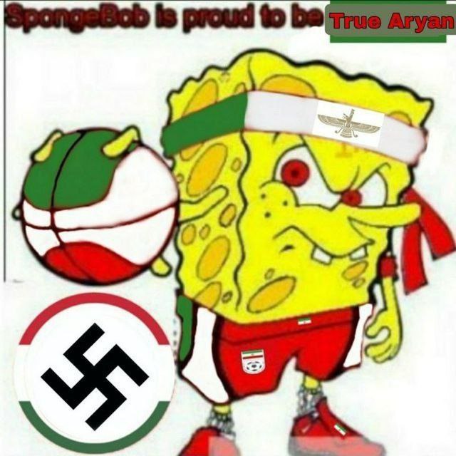 aryansponge.jpg