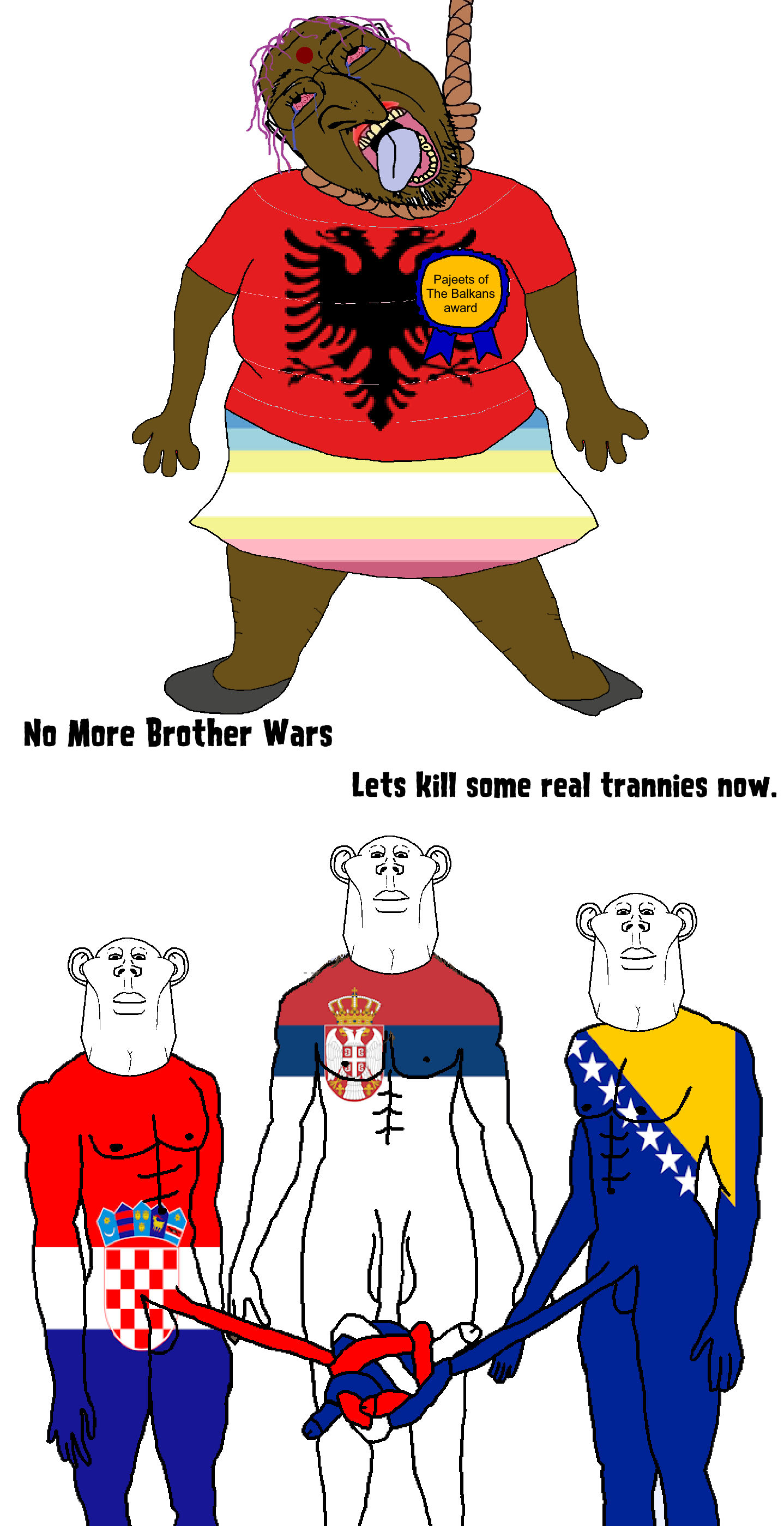 Balkans Bosnia Serbia Croatia no more brother wars.png