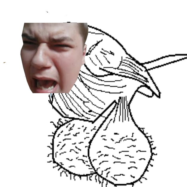 balls bird komputersem.png