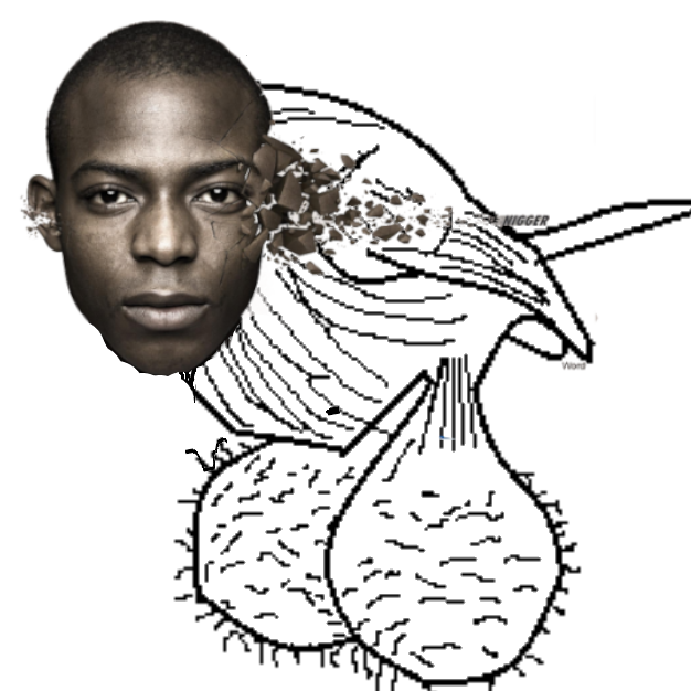 balls bird nigga.png