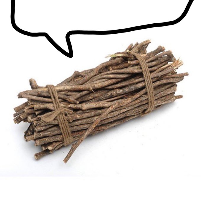 bundle of sticks.jpg