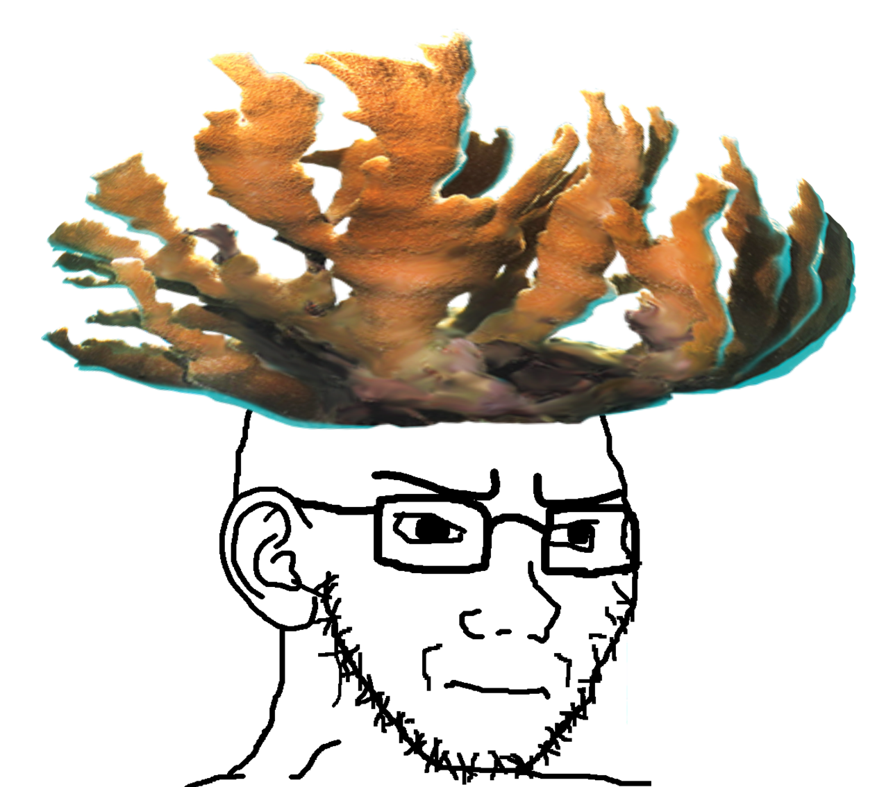 coraljak.png