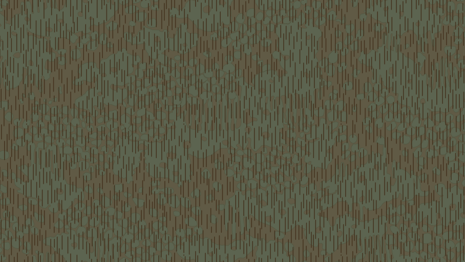 Czechoslovak Rainstripe, field.png