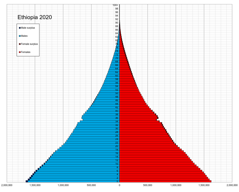 Ethiopia_single_age_population_pyramid_2020 (1).png