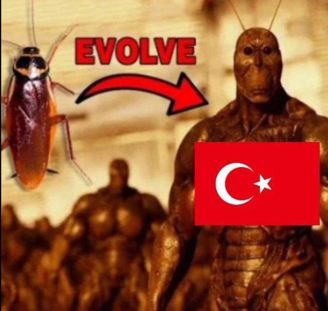 evolve.jpeg