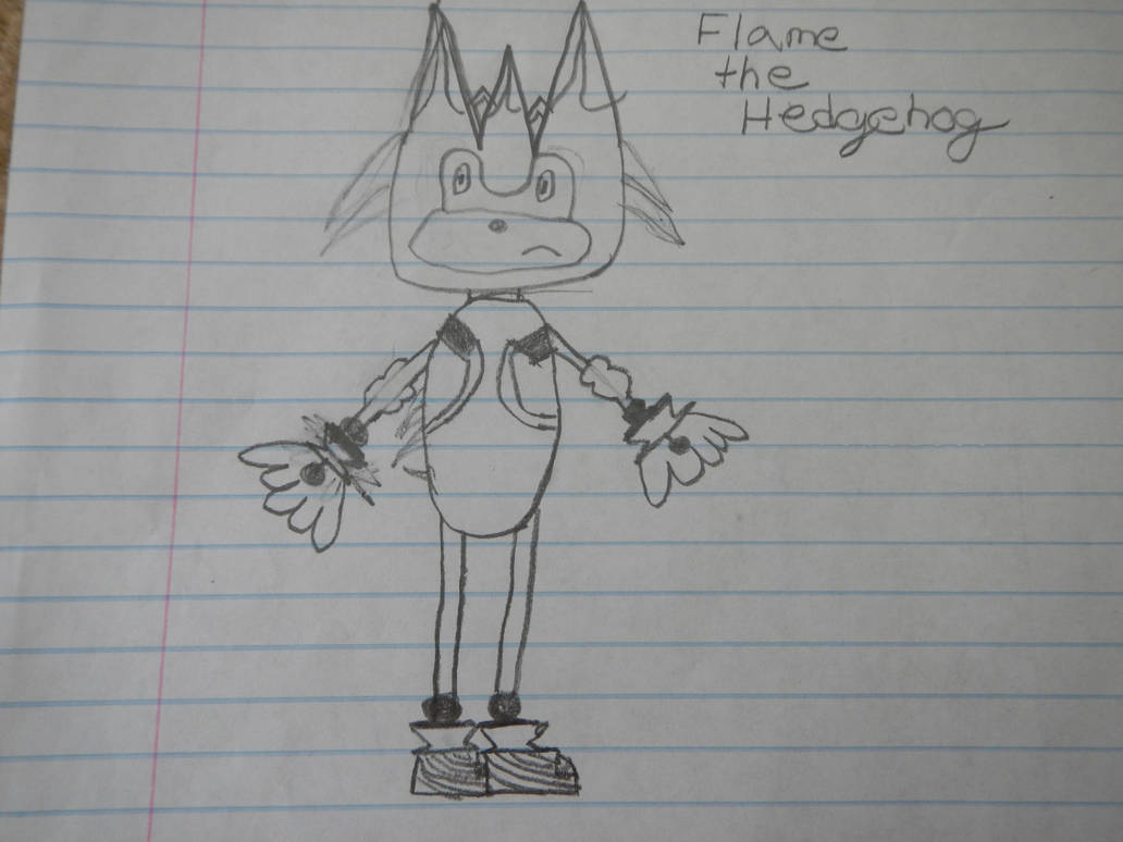 flamethehedgehog.jpeg