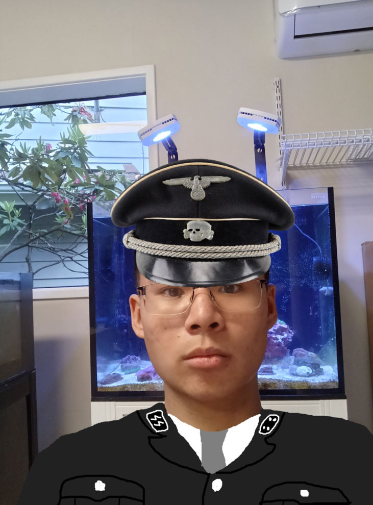 Guineapigone (1) (1).png