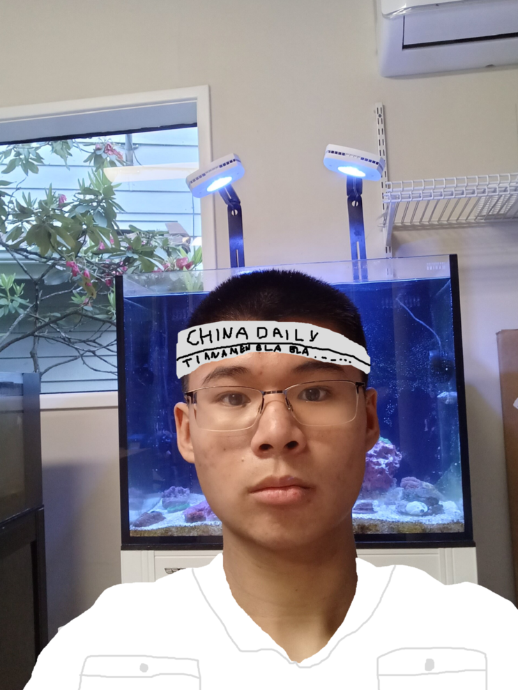 guineapigthree (1) (1).png