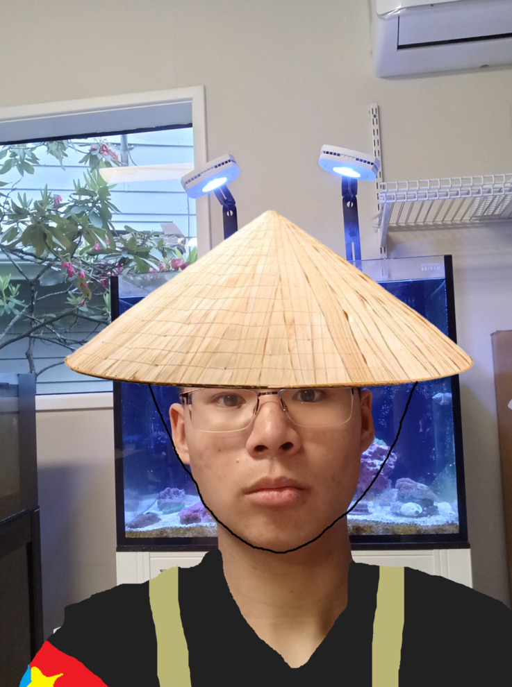 guineapigtwo (1) (1).png