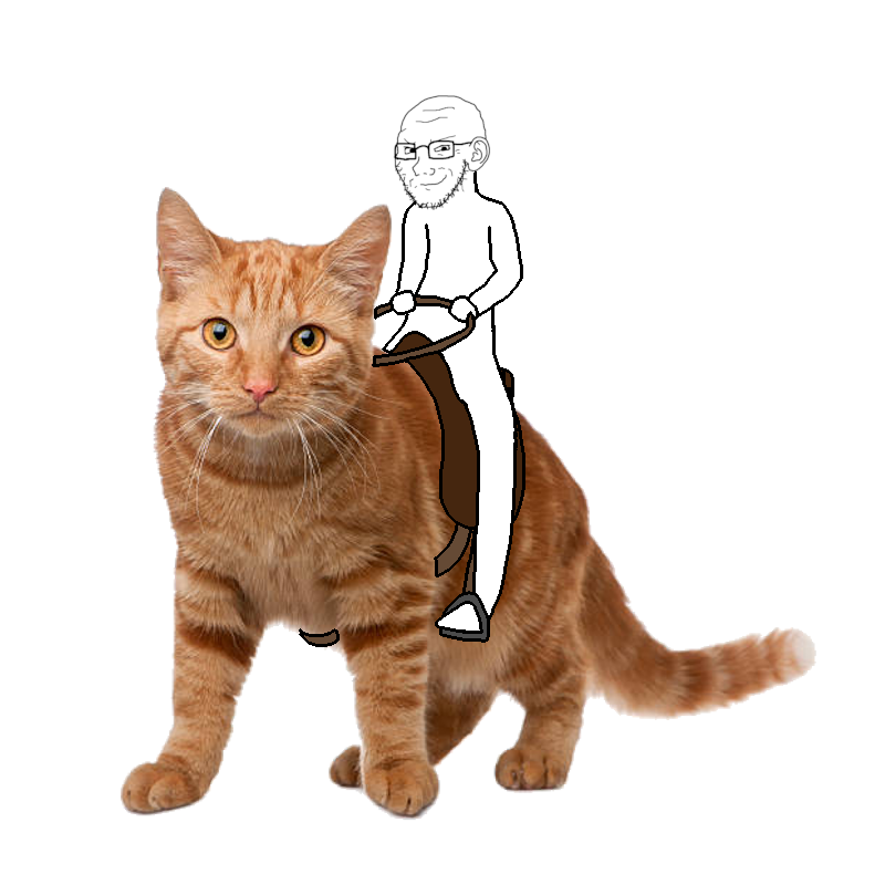 soyjak on cat.png