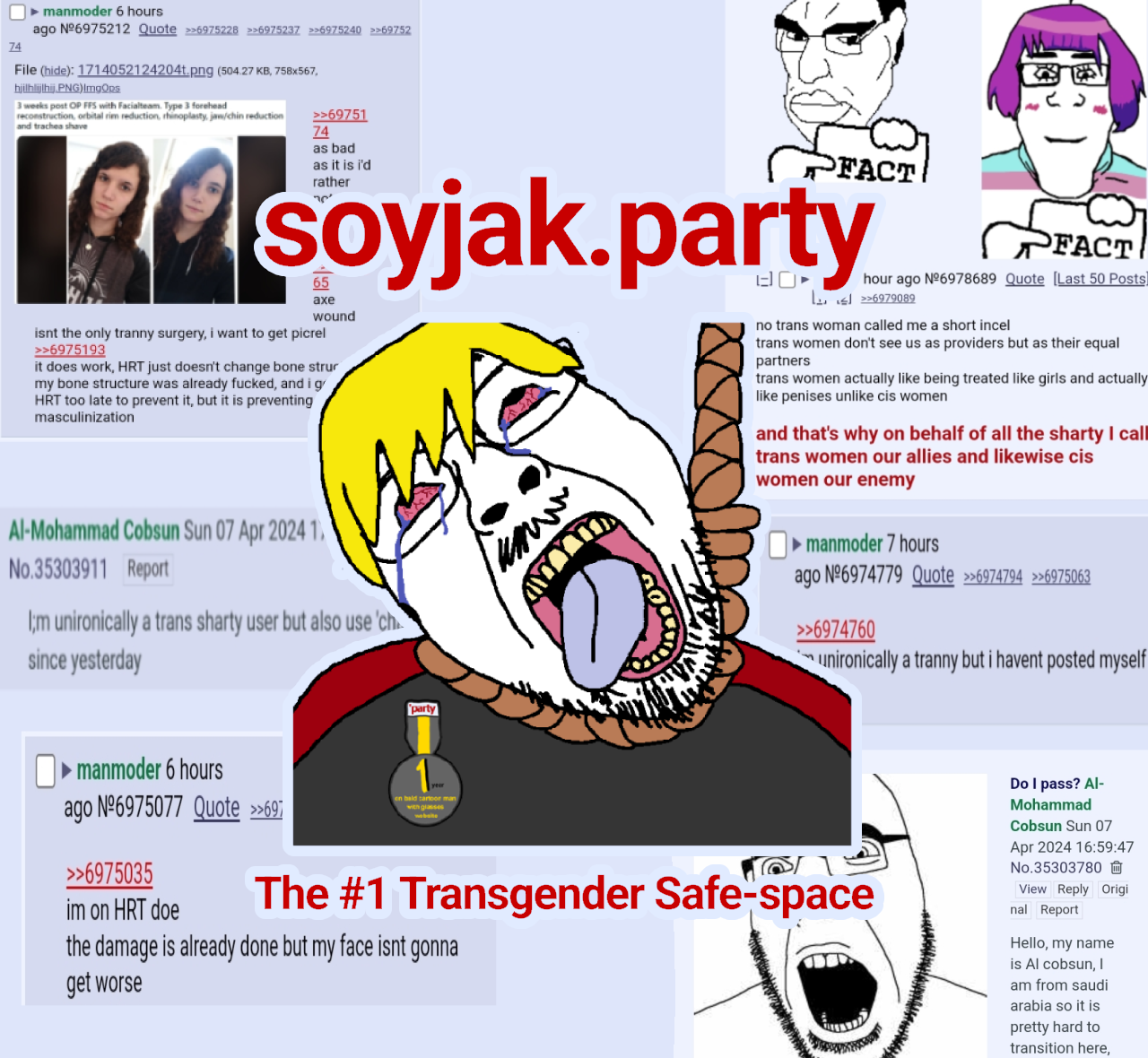 soyjak.party.png