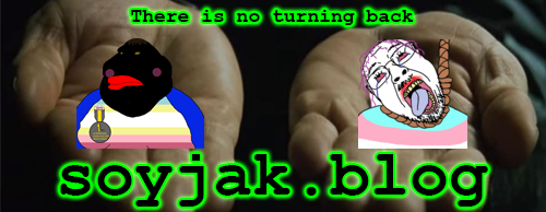 soyjakblogMatrixBanner-Steve.png