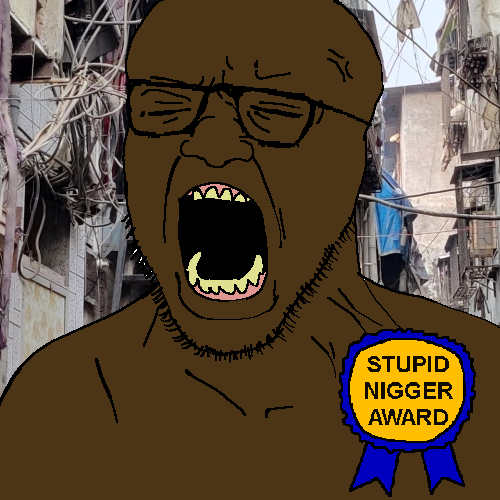 STUPID NIGGER AWARD.png