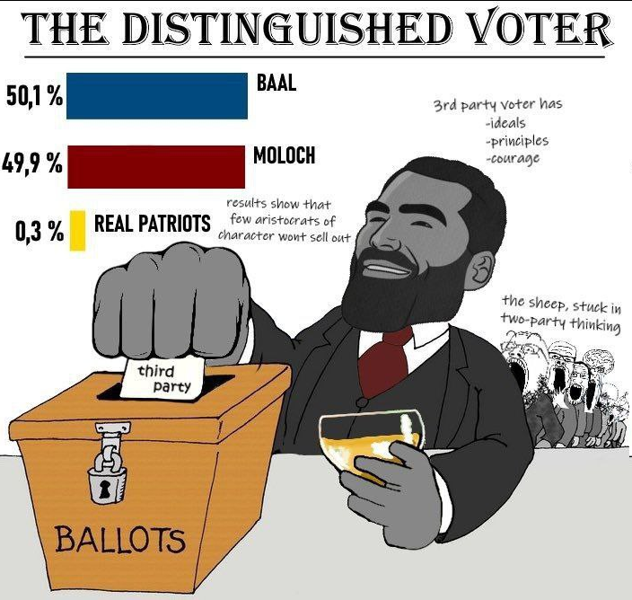 the distinguished voter.png