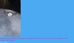 Screenshot 2024-07-05 at 16-56-42 (2) princessparkles Page 2 soyjak.blog.png