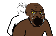 NiggerApe (2024_06_24 20_42_12 UTC).gif