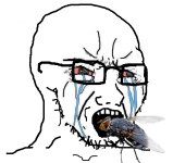 nusoicaca doesn't actually like to eat the bugs.jpg nusoicaca doesn't actually like to eat the bugs.jpg