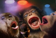 apes_singing3.jpg