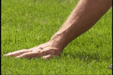 Touch Grass Touch GIF - Touch Grass Touch Grass - Discover ...