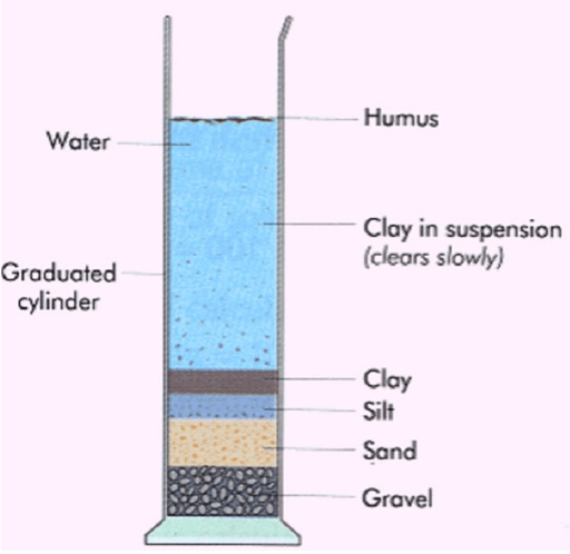 Hydrologic-Sorting-Biblical-Flood.png