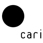cari.institute