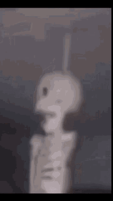 rotating-skull.gif